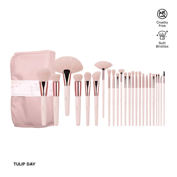 COLLECCION SET BROCHAS MANTA 24 PCS CLUX